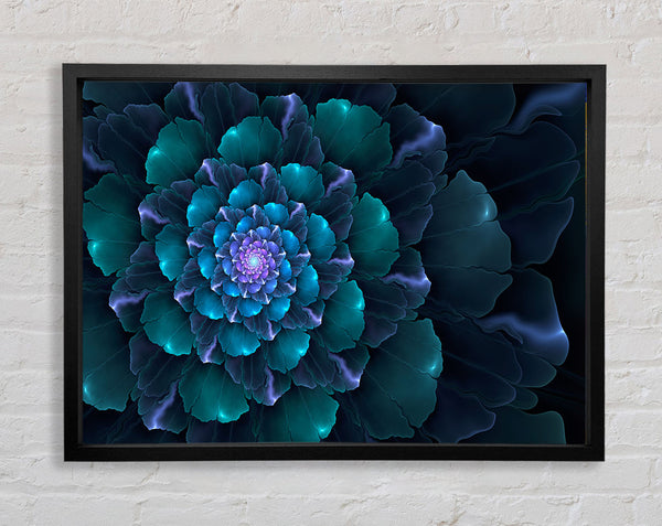 Spiral Into The Succulent Cactus Framed Print