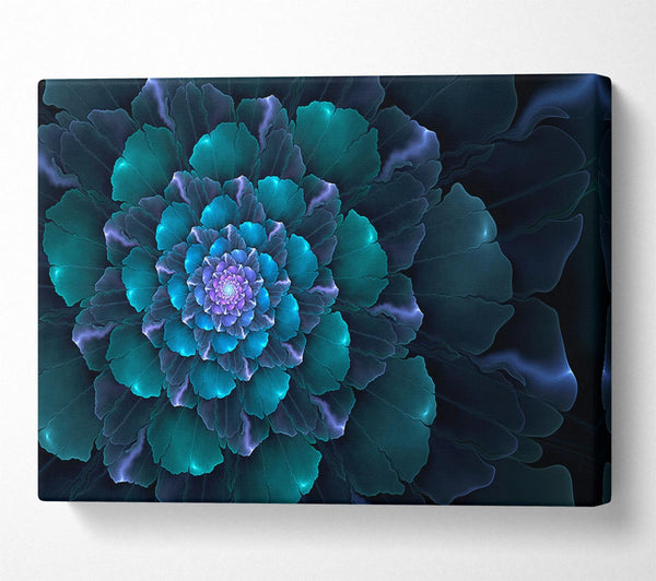  A Canvas Print of Spiral Into The Succulent Cactus Canvas Print