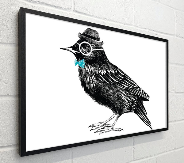 Hipster Crow