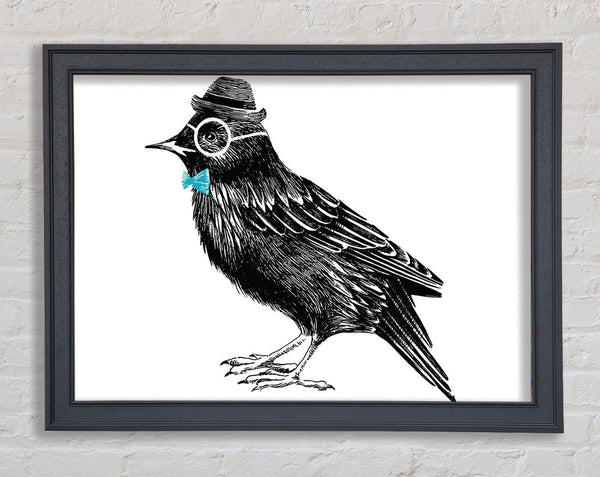 Hipster Krähe