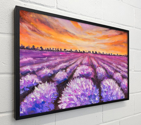 Lavender Fields Supreme