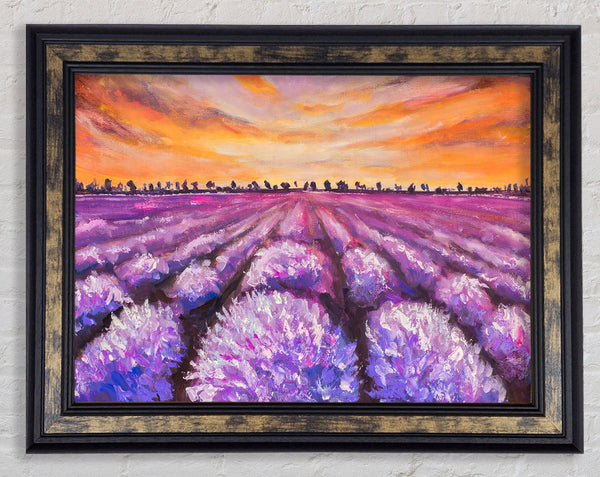 Lavender Fields Supreme Framed Print