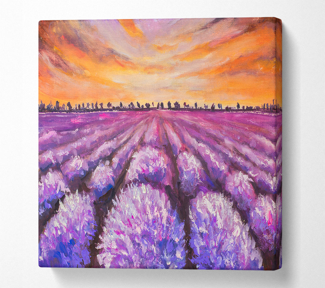  A Canvas Print of Lavender Fields Supreme Canvas Wall Art