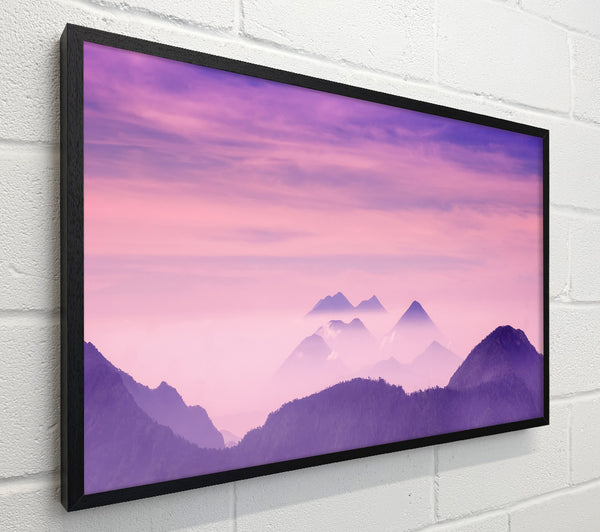 Lavender Mountain Top