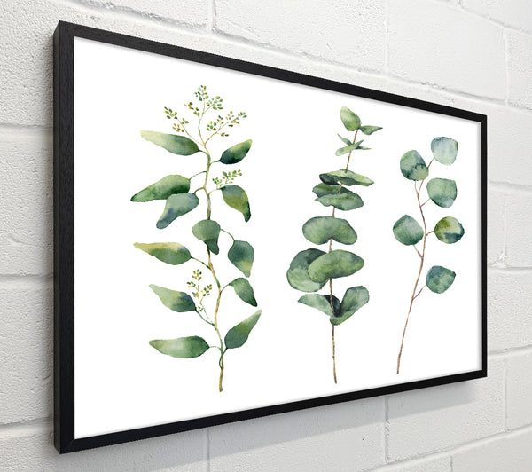 Three Green Foliage Stems