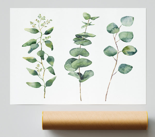 Three Green Foliage Stems Giclee Print