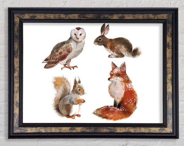 Animals Of The Woodland Framed Print