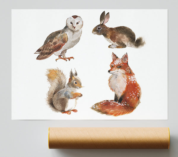 Animals Of The Woodland Poster