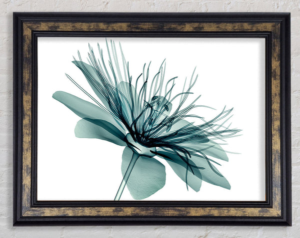 Green Flower Opens Framed Print