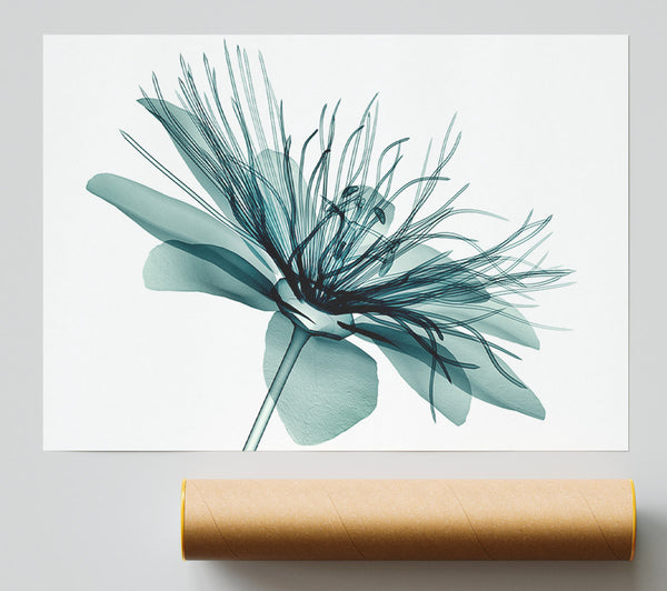 Green Flower Opens Poster
