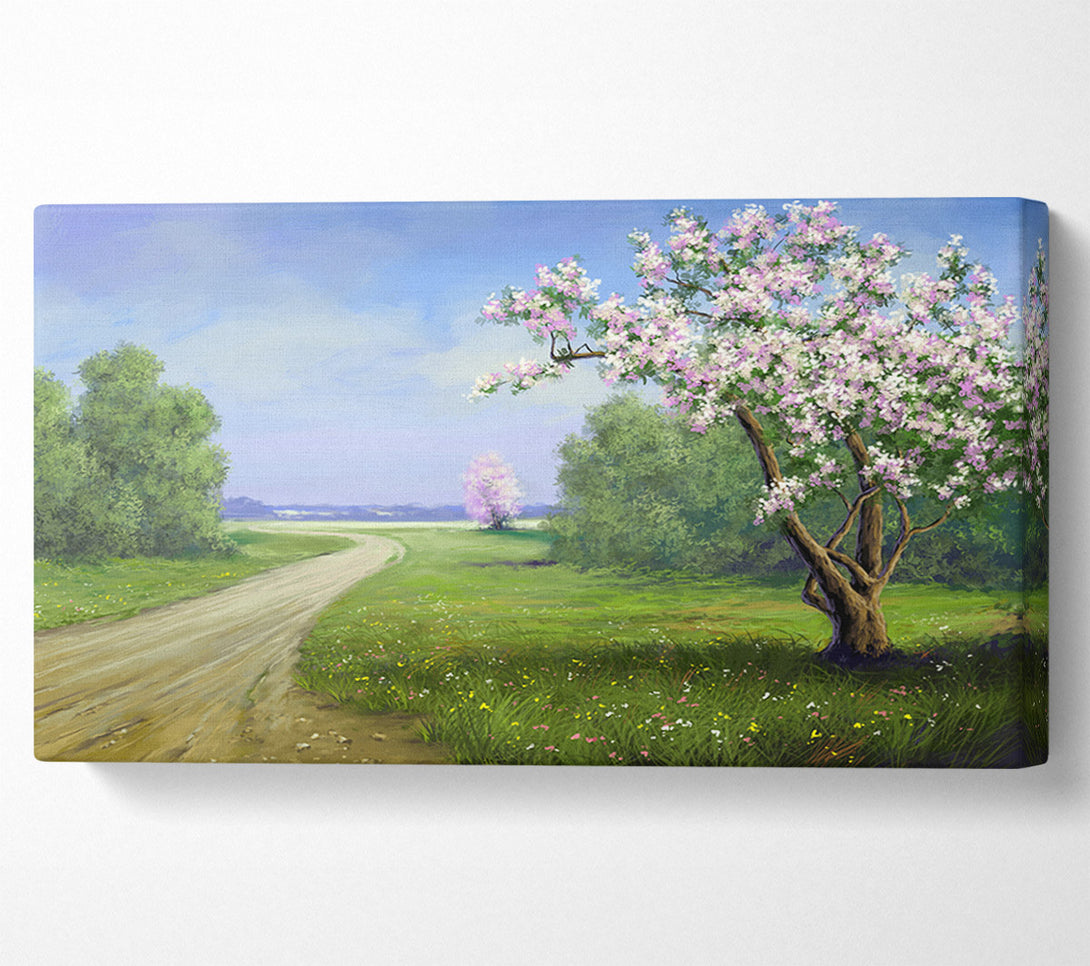  A Canvas Print of The Road Through The Blossom Canvas Print