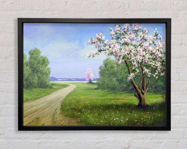 The Road Through The Blossom Framed Print
