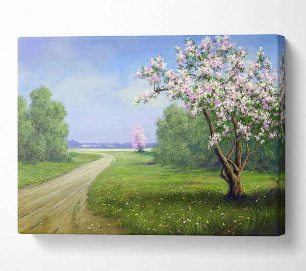  A Canvas Print of The Road Through The Blossom Canvas Print