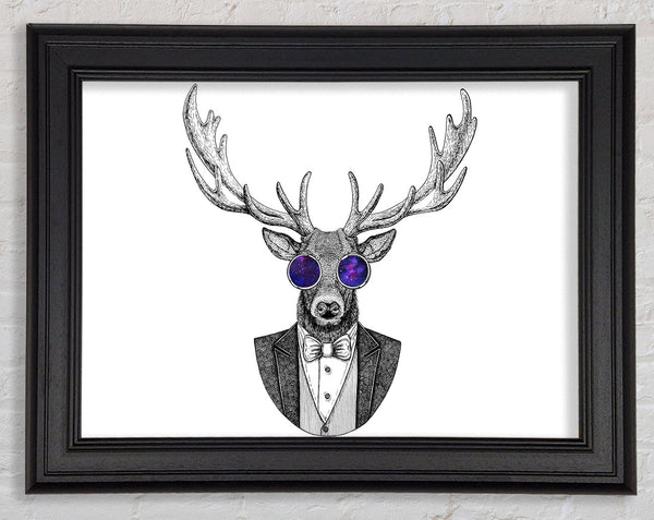 Brille Hirsch