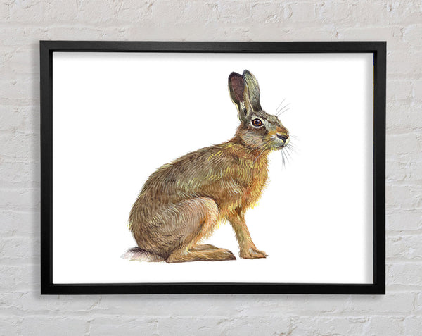 Der Hase allein