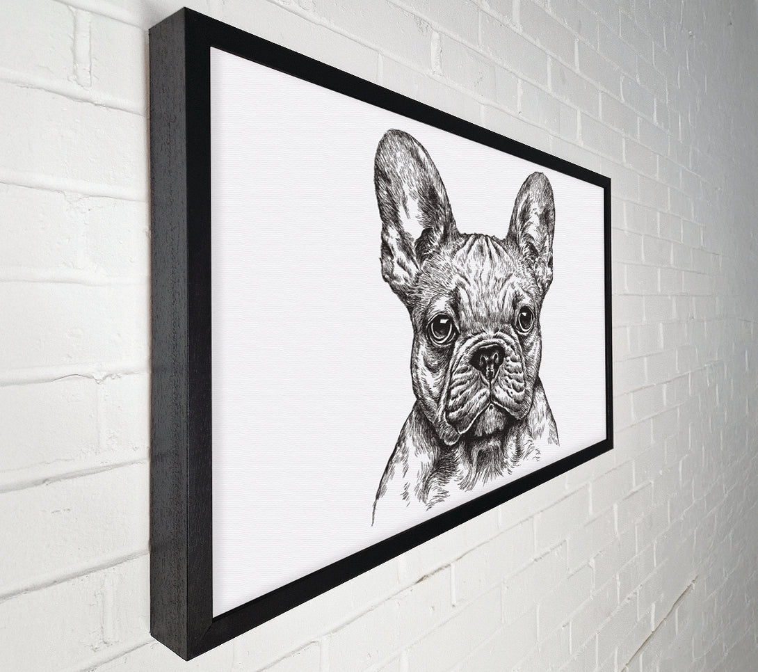  A Canvas Print of French Bulldog Sketch Canvas Wall Art