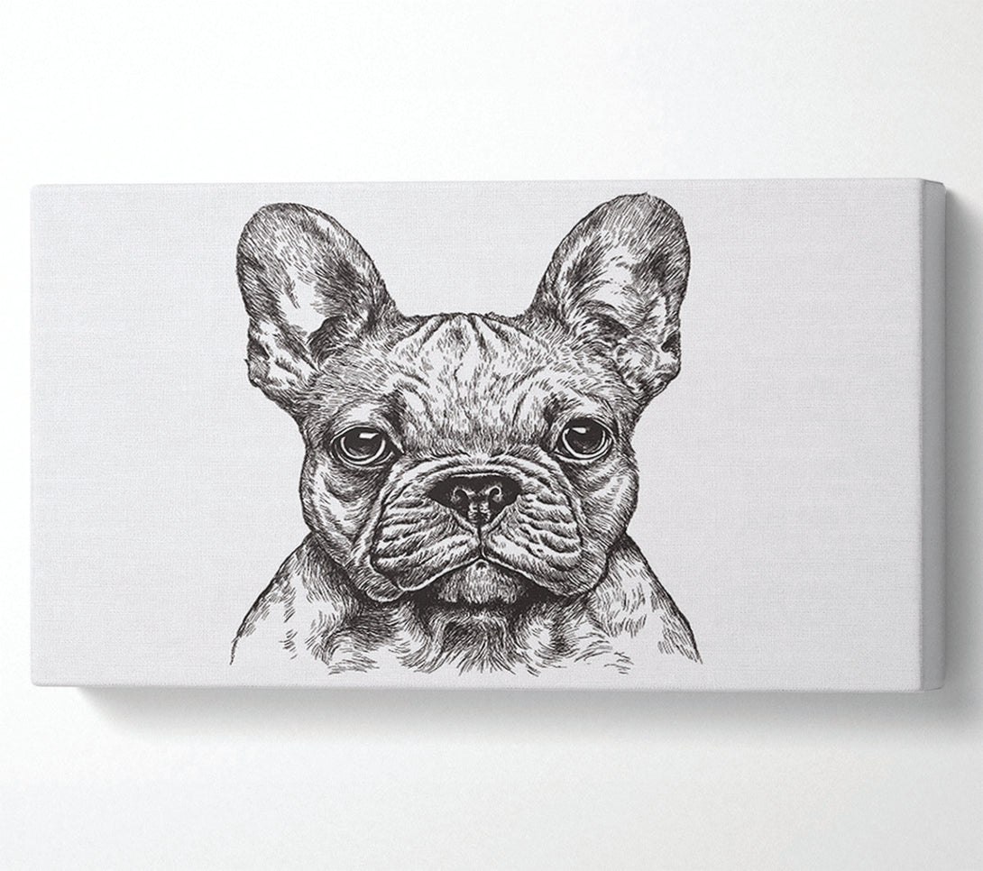  A Canvas Print of French Bulldog Sketch Canvas Wall Art