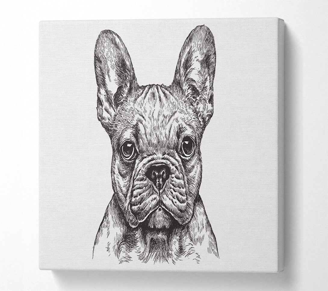  A Canvas Print of French Bulldog Sketch Canvas Wall Art