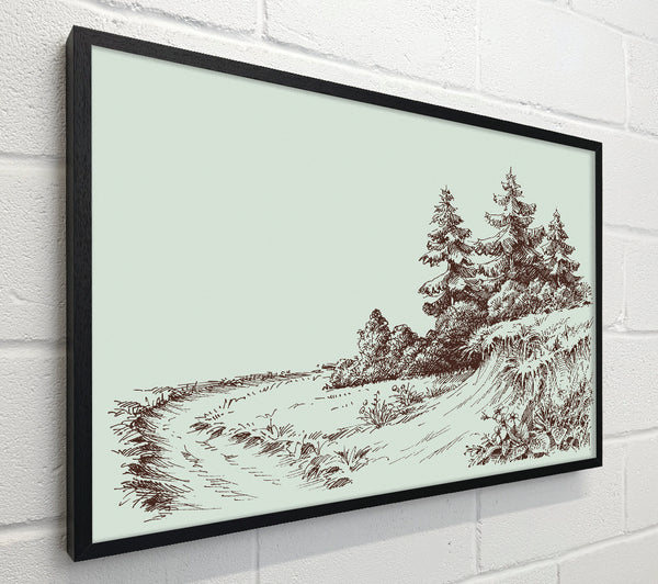 Sketch Of The Canadian Pines