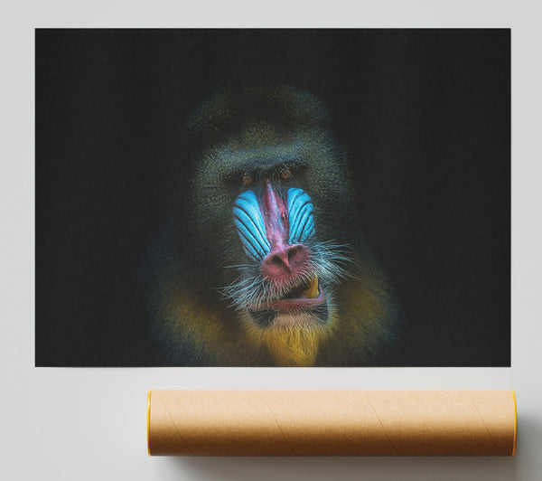 Mandrill Anger Giclee Print