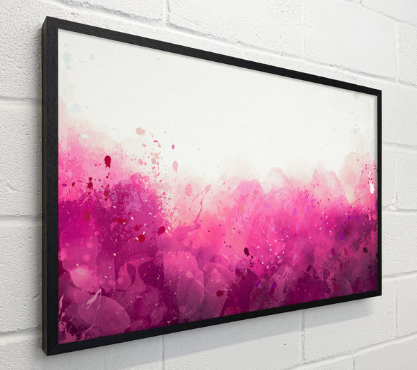 Pink Blushes Of Colour