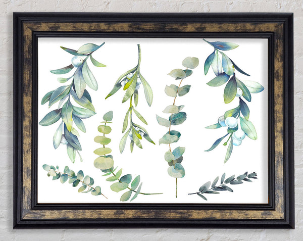 Green Foliage Of Nature Framed Print