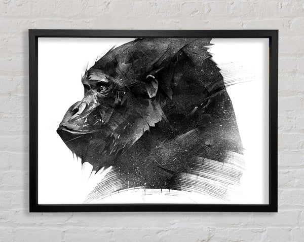Washed Out Gorilla