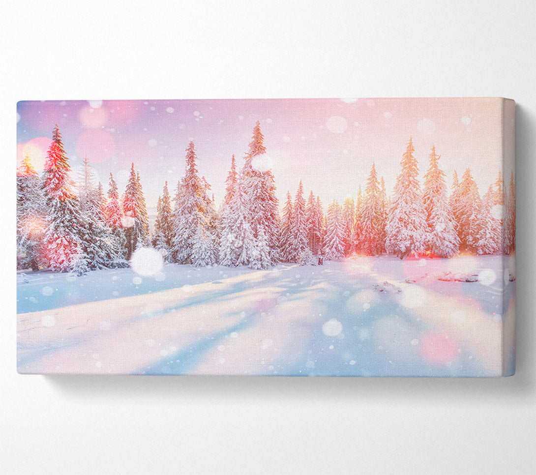  A Canvas Print of Snow Storm Sunlight Canvas Wall Art