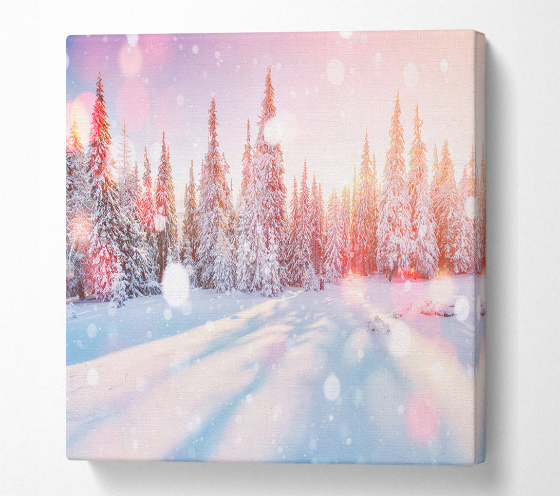  A Canvas Print of Snow Storm Sunlight Canvas Wall Art