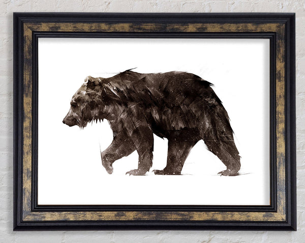 Walking Brown Bear Framed Print