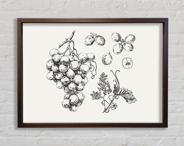 Bounty Harvest Framed Print