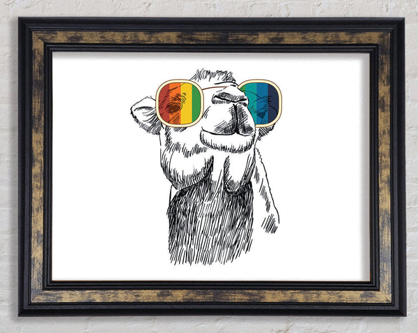Colourful Glasses Camel Framed Print