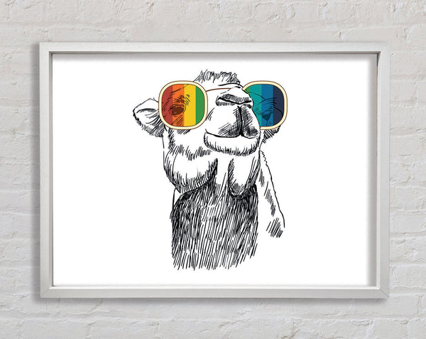 Bunte Brille Kamel