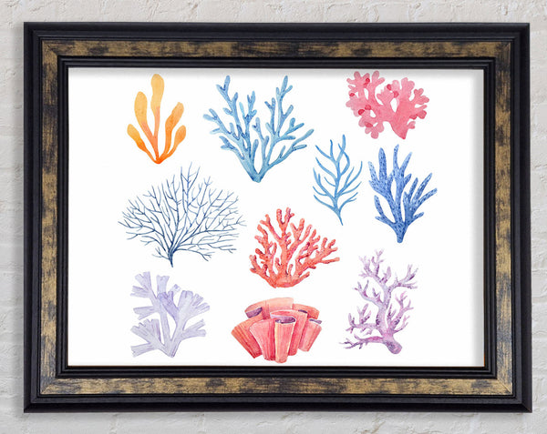 Sea Life Coral Framed Print