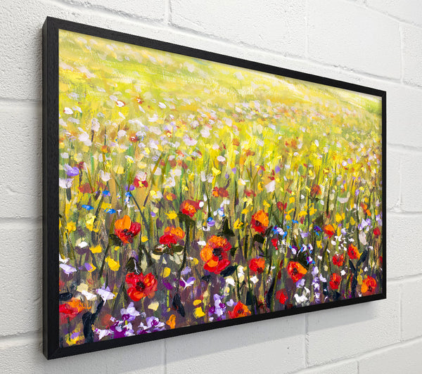 The Poppies Field Of Light