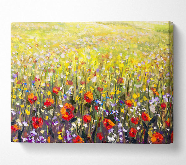  A Canvas Print of The Poppies Field Of Light Canvas Print