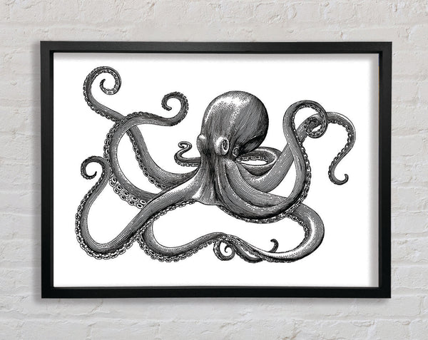 Oktopus-Illustration