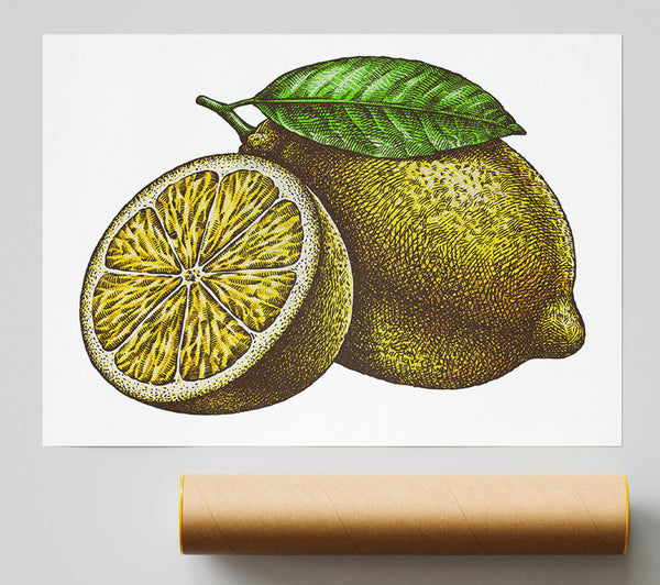 A Lemon Illustrated Giclee Print