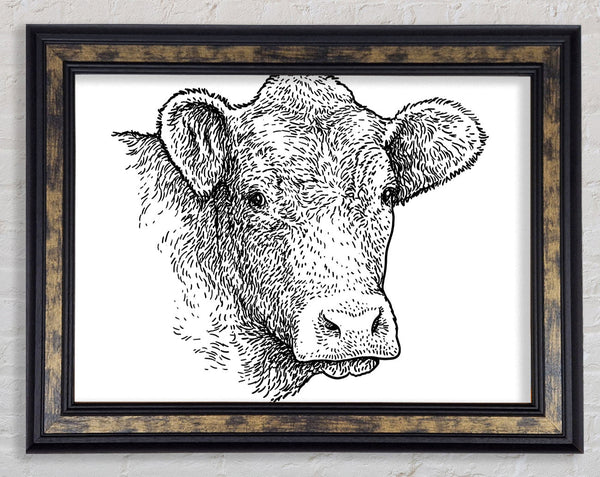 The Sketchy Cow