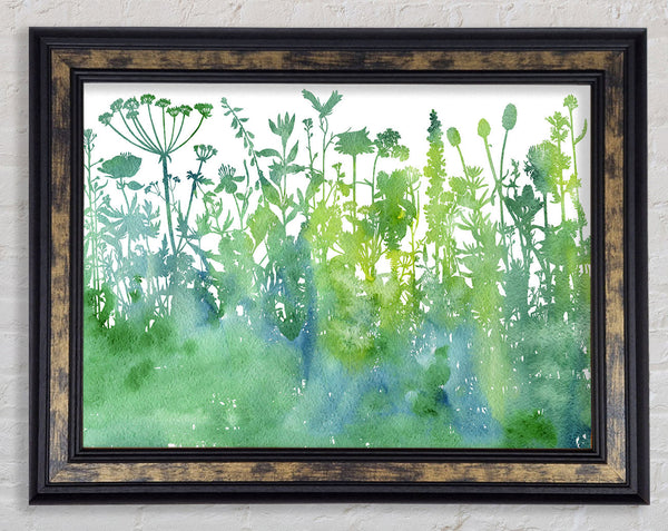 The Outline Of Flora Framed Print