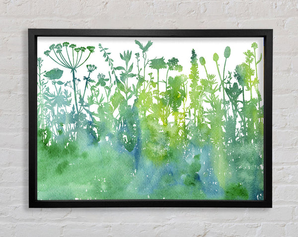 Der Umriss der Flora