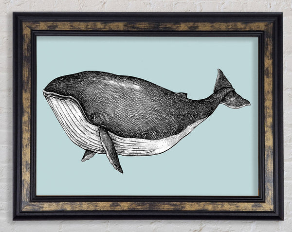 Big Fat Whale Framed Print