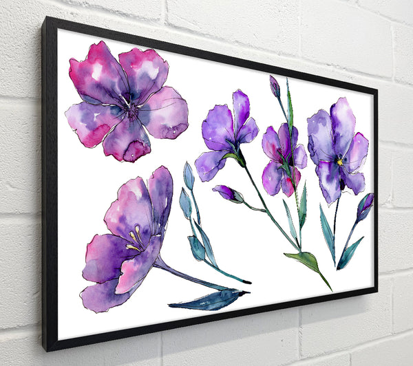 Purple Crocus Flowers