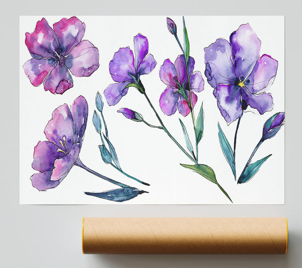Purple Crocus Flowers Poster