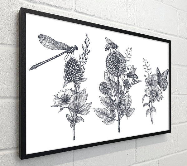 Britain'S Dragonfly And Plants