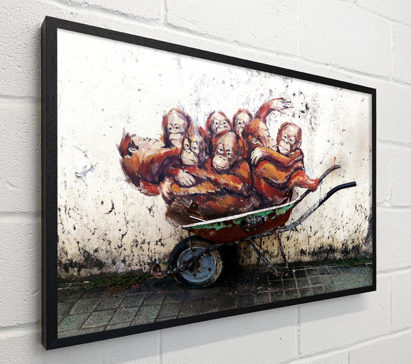 Orangutans In A Wheelbarrow