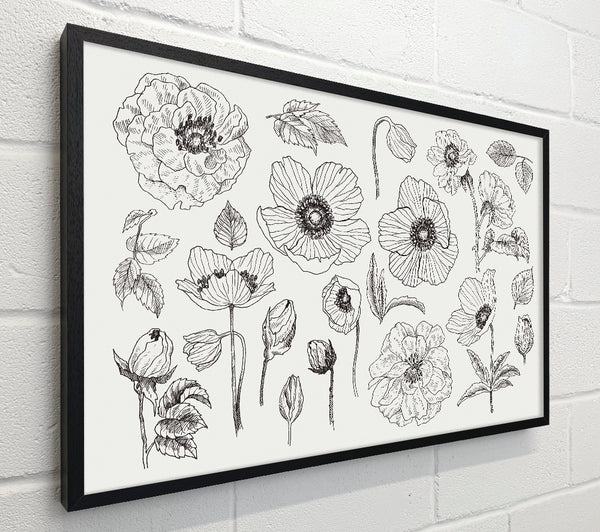 Hand Drawn Flowers Illustration
