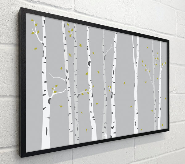 Birch Trees On Grey