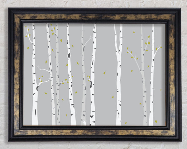 Birch Trees On Grey Framed Print