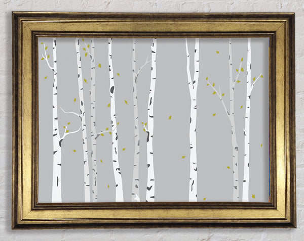 Birch Trees On Grey Framed Print